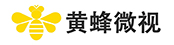 黄蜂微视